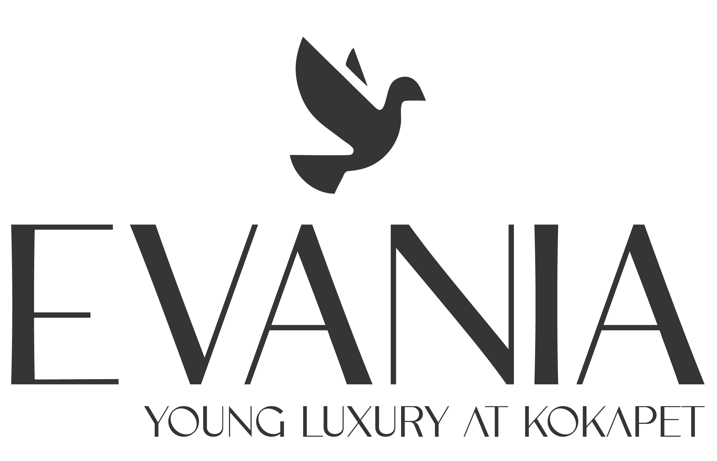 Logo 2